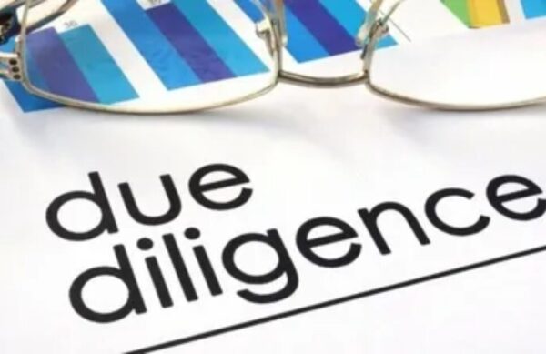 Due Diligence Services